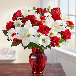 Dailybloom2020