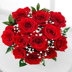 Dailybloom2020